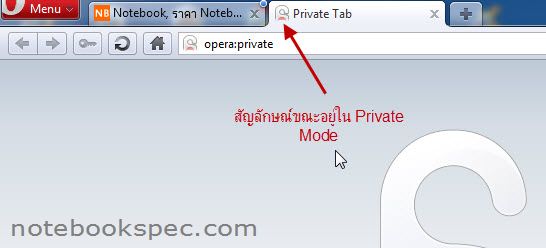 private_mode_10