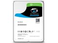 SEAGATE SKYHAWK 10TB