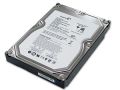 SEAGATE 250GB