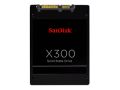 SanDisk X300 128GB