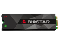 BIOSTAR M500 512GB M.2 NVMe