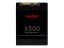 SanDisk X300 256GB