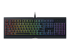 RAZER Cynosa Chroma 1