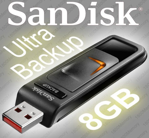 SanDisk-SDCZ40-008G-P36-4_LRG