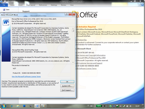 ms office professional plus 2010 review