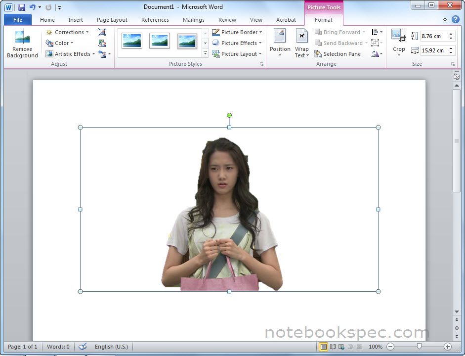 ลบฉากหลังของภาพในแบบฉบับ Ms Office 2010 - Notebookspec