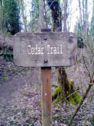 cedar_trail