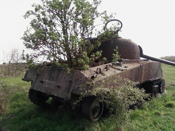 a.baa Tree In A Tank