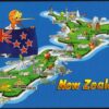 New Zealand Health Statistics