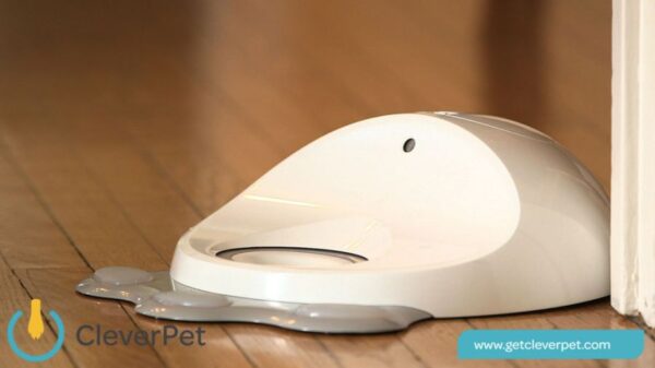 CleverPet A Game Console For Dogs 51