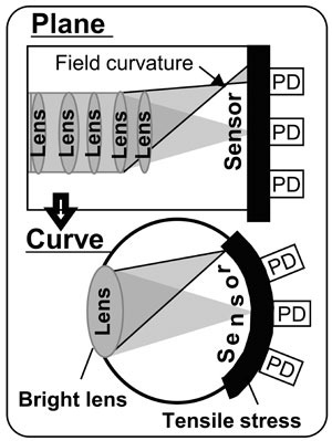 curvedcmos 02 600