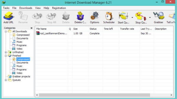 Internet download manager 28