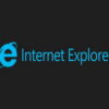 internet explorer 12 300
