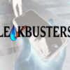 leakbusters 300