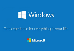 windows one experience 300