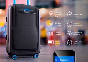 bluesmart 300