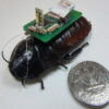 cockroach biobot 300