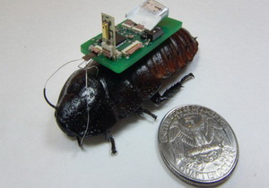 cockroach biobot 300