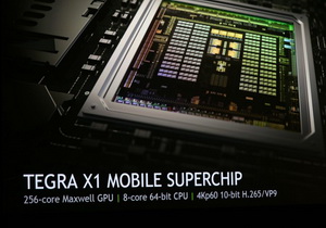 Tegra X1 01 300