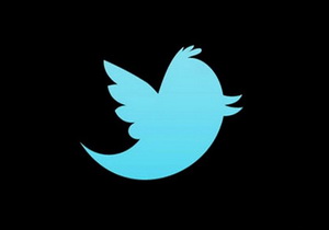 twitter logo 300