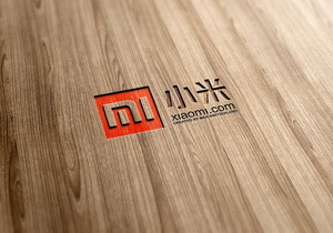 xiaomi console 01 300