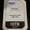 hgst 10tb 600