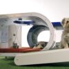 samsung dream doghouse designboom01 818x490