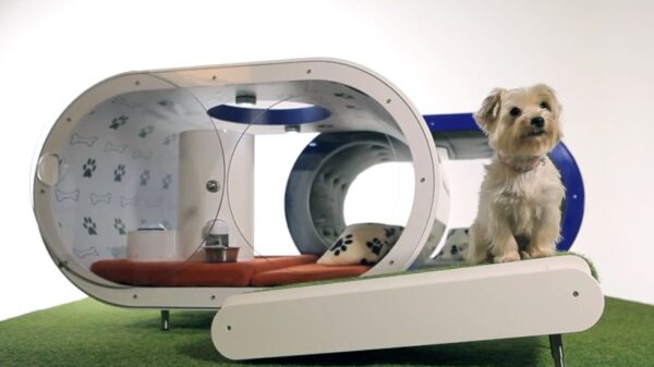 samsung dream doghouse designboom01 818x490