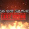 Dead or Alive 5 Last Round