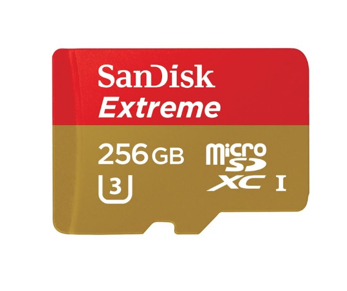 SanDisk microSD Card 256GB 600 01
