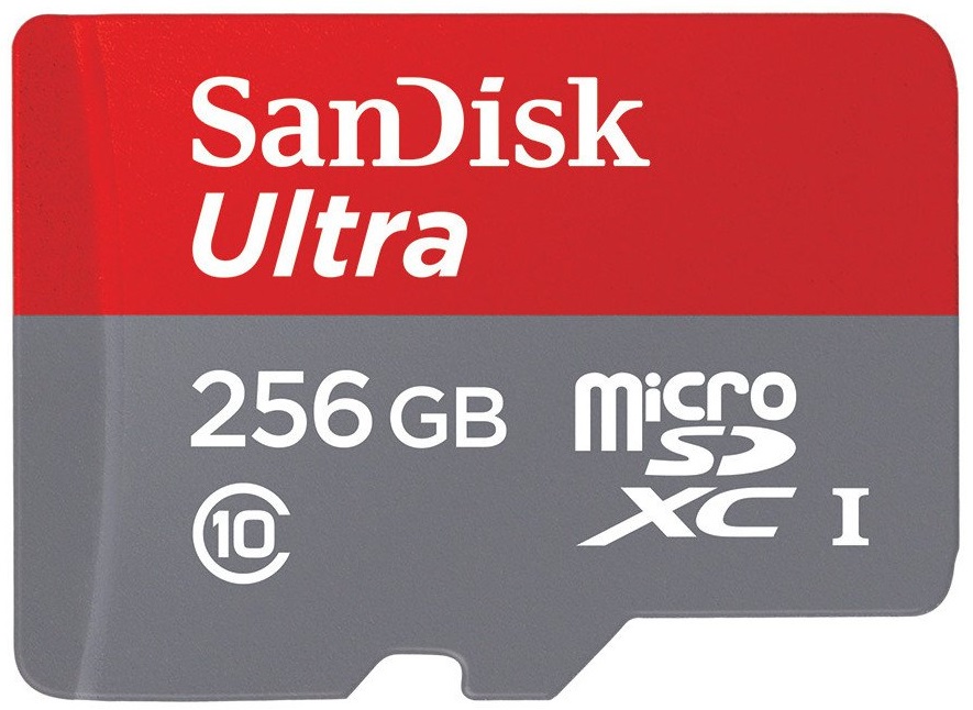 SanDisk microSD Card 256GB 600 02