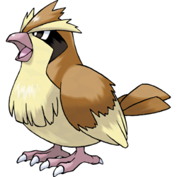 pk_pidgey