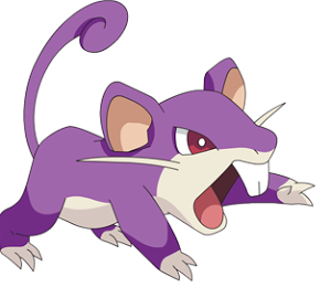 pk_rattata