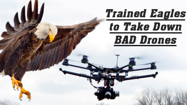 police eagle drone hunting