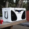 PWD CB1 Alpine In Cooler Entertainment system 600 01