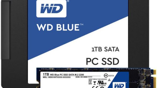 WD Blue Green SSD 1