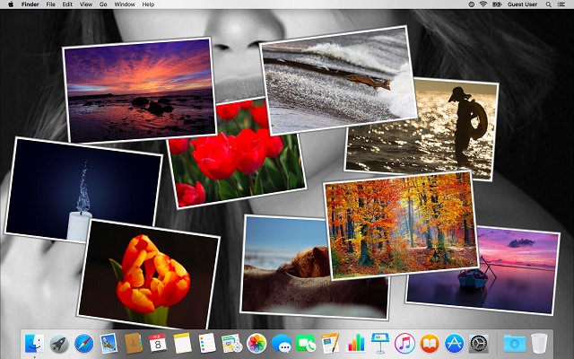 the best photo collage 2017 for a mac
