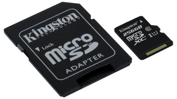 Kingston microSD 256GB with Adapter