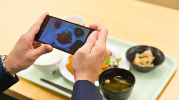 Sony food Image Analysis 1