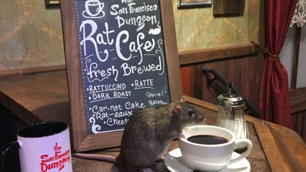 ratcafe