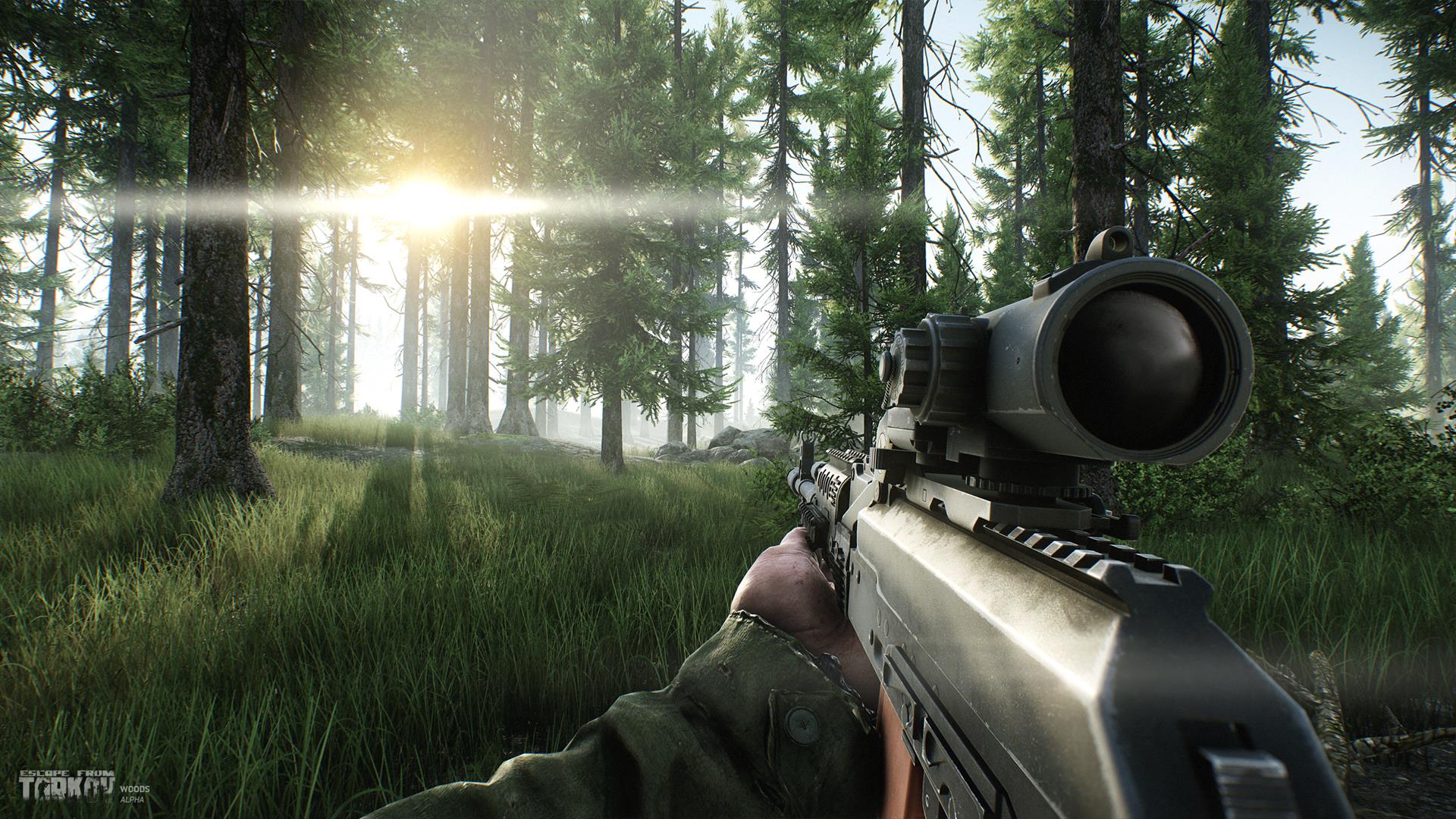 escape from tarkov the forest level alpha 15