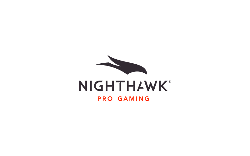 NETGEAR Nighthawk Pro Gaming