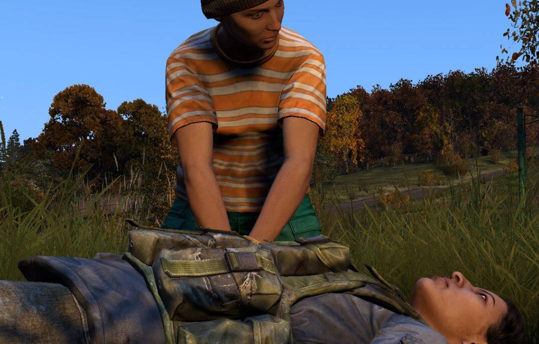 Dayz2