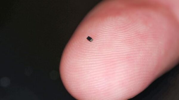 68384 08 worlds smallest camera size grain sand