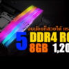 DDR4 RGB jpg