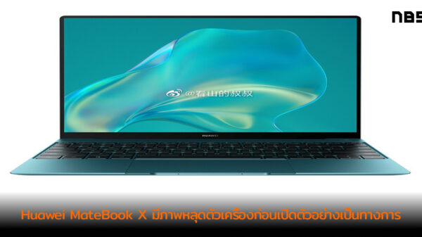 MateBook XGreen 1