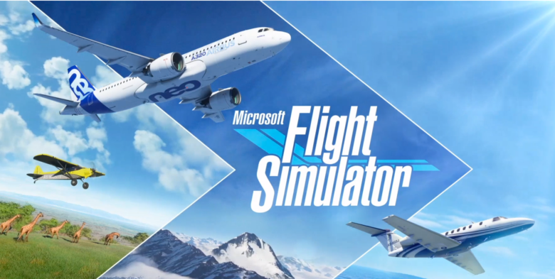 flight simulator