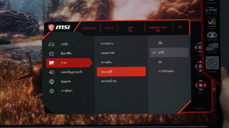 OSD MSI Optix MAG251RX 24