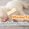 meowtalk2