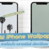iphone wallpaper